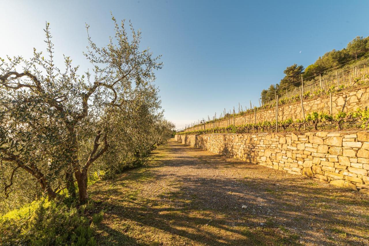 Casetta Mari Immersa In Un Vigneto Dolceacqua Bagian luar foto